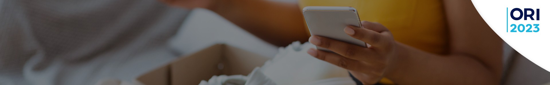 Key Findings from the 2023 Omnichannel Retail Index