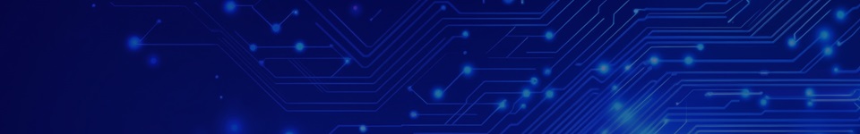 The Workforce of the Future: Leading in the Agentic AI Era