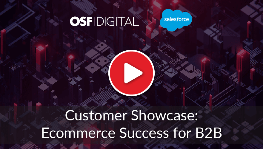 Customer Showcase ECommerce Success for B2B