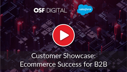 Customer Showcase ECommerce Success for B2B