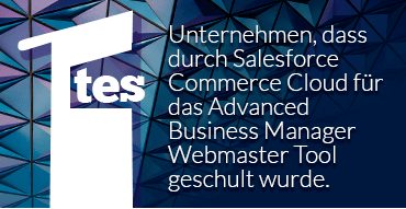1st Company trained by Salesforce Commerce Cloud in Advanced Bussiness Manager Webmastering de