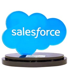 2016 Salesforce Partner of the Year