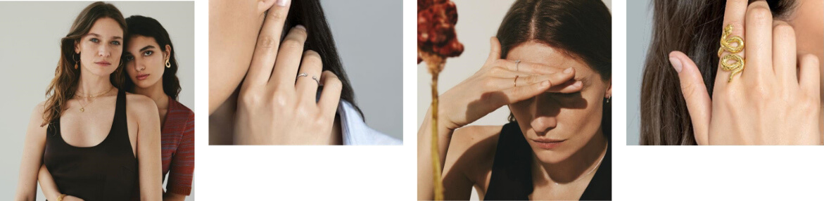 Aristocrazy OMS image