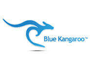 Blue Kangaroo