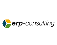 erp consulting