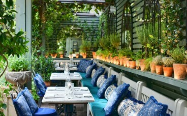 Ivy Collection's Journey with OSF Digital and Salesforce